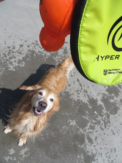 ファイル 3785-3.jpg