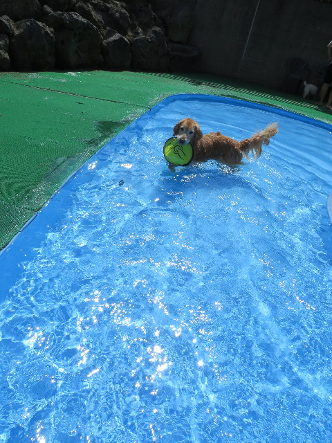 ファイル 3785-4.jpg