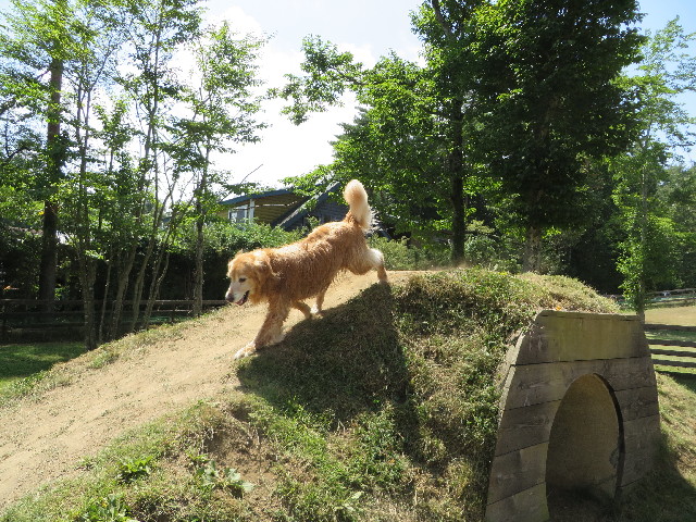 ファイル 3785-5.jpg