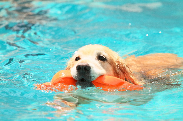 ファイル 3786-3.jpg