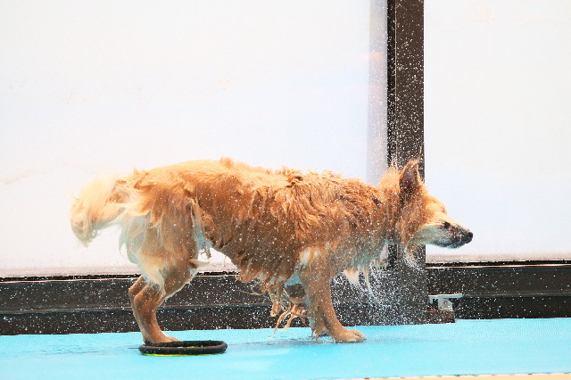 ファイル 3787-2.jpg