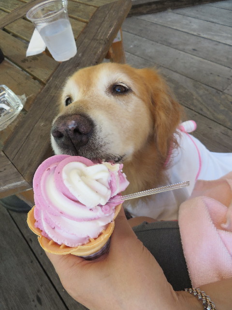 ファイル 3787-4.jpg