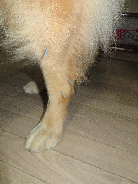 ファイル 3789-3.jpg