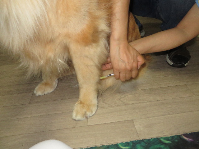 ファイル 3789-4.jpg