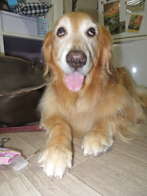 ファイル 3789-5.jpg