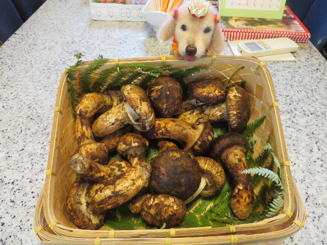 ファイル 3790-3.jpg