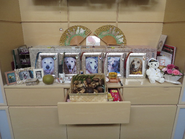 ファイル 3790-4.jpg