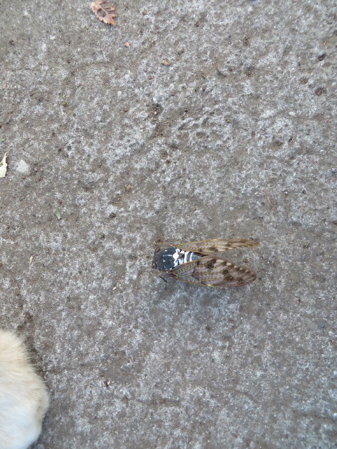 ファイル 3790-5.jpg