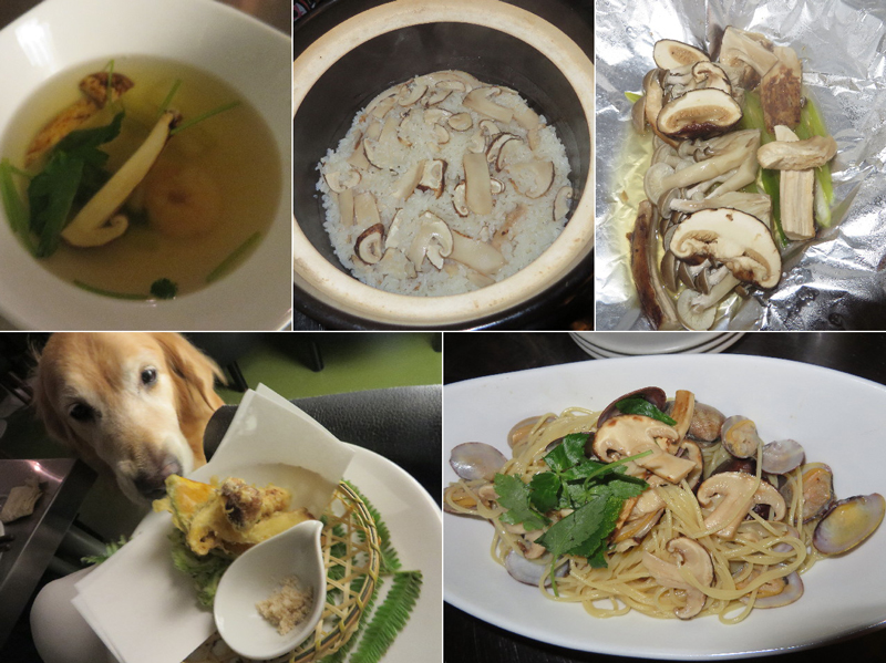 ファイル 3792-1.jpg