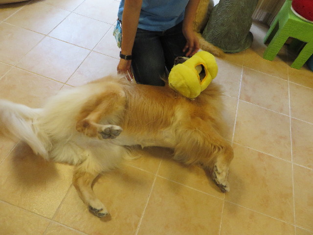 ファイル 3793-1.jpg