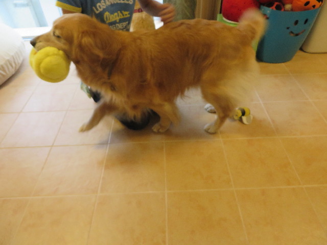 ファイル 3793-2.jpg