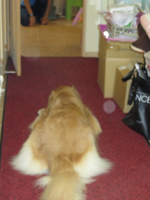 ファイル 3793-4.jpg