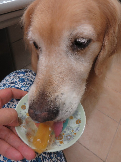 ファイル 3797-2.jpg