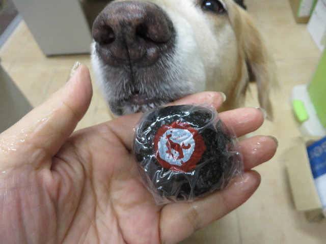 ファイル 3797-3.jpg