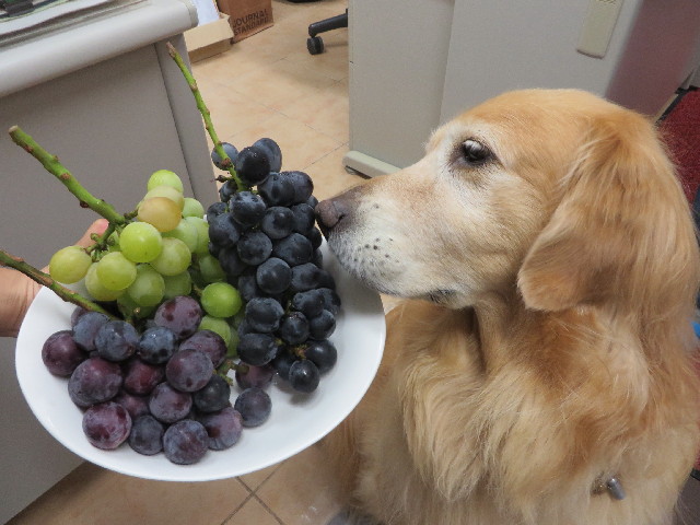 ファイル 3797-4.jpg