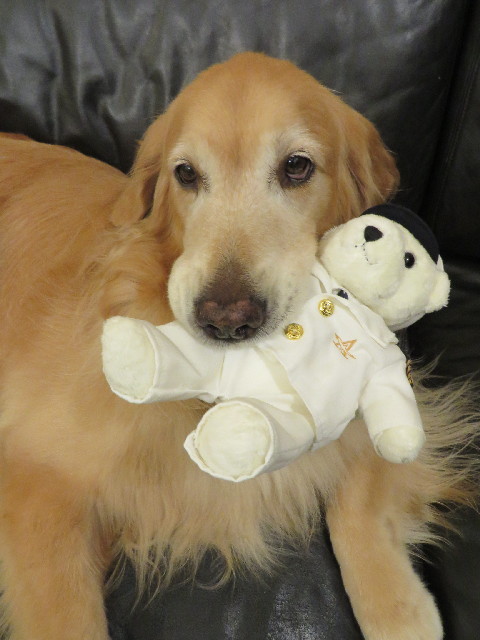 ファイル 3798-1.jpg