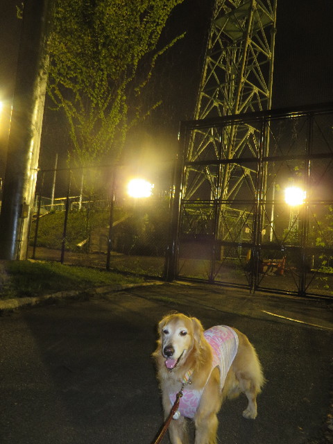 ファイル 3798-5.jpg