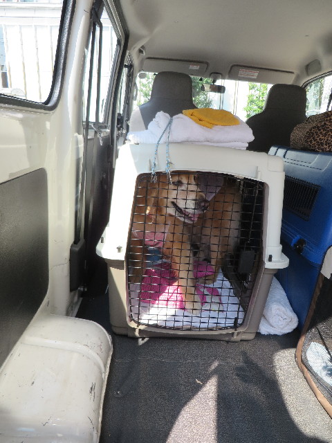 ファイル 3799-2.jpg