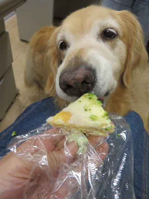 ファイル 3802-1.jpg