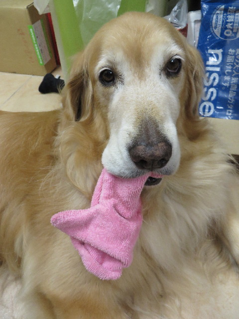 ファイル 3802-2.jpg