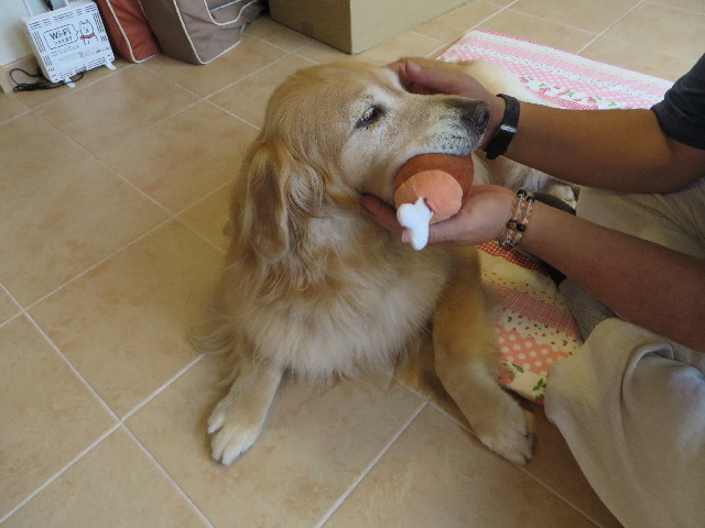 ファイル 3802-3.jpg