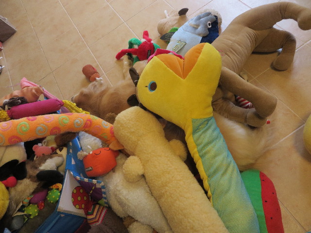 ファイル 3802-4.jpg