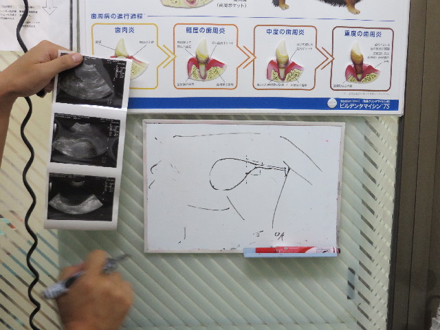 ファイル 3803-2.jpg