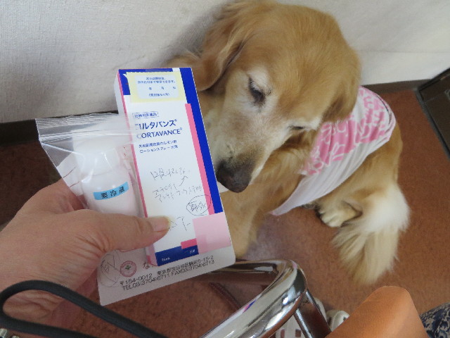 ファイル 3803-5.jpg