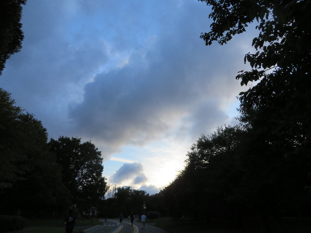 ファイル 3805-1.jpg