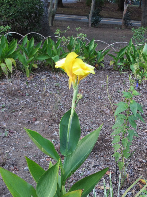 ファイル 3805-4.jpg