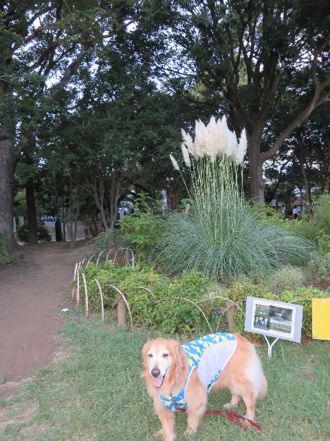 ファイル 3805-5.jpg