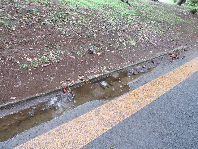 ファイル 3806-3.jpg