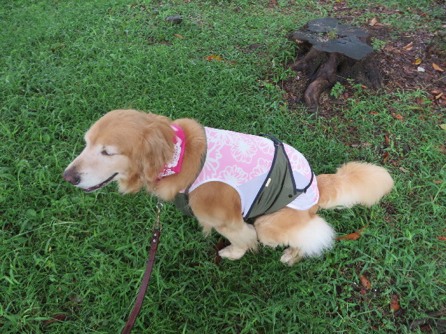 ファイル 3806-4.jpg