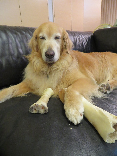 ファイル 3807-4.jpg