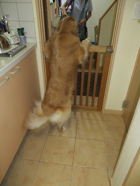 ファイル 3808-3.jpg