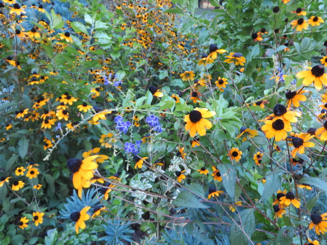 ファイル 3809-1.jpg