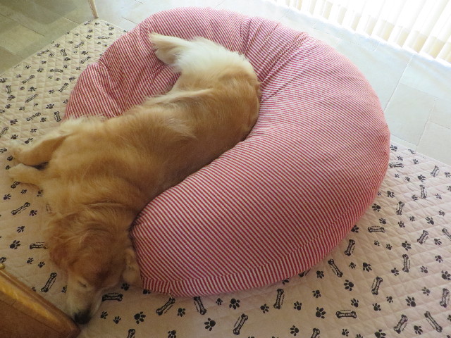 ファイル 3809-3.jpg