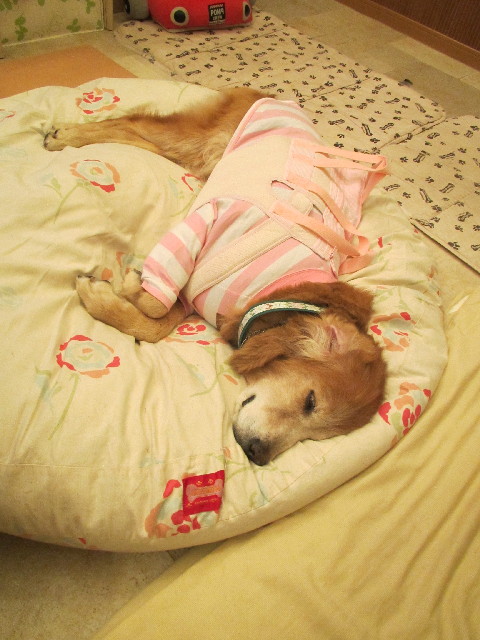 ファイル 3809-4.jpg