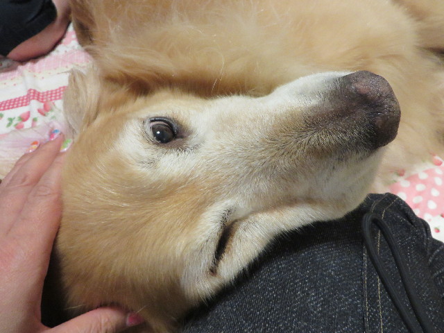 ファイル 3811-4.jpg