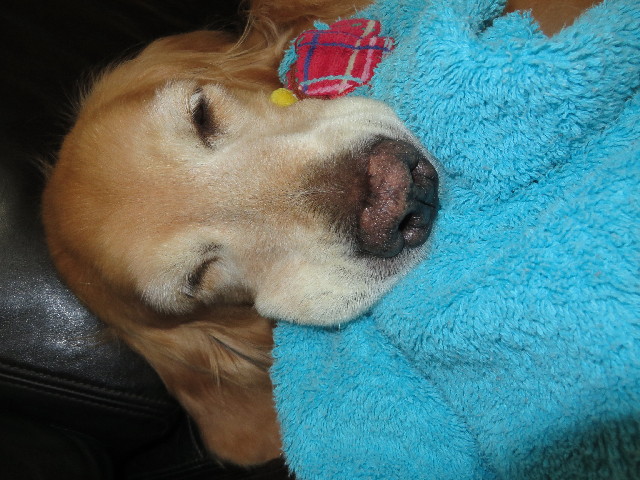 ファイル 3811-5.jpg