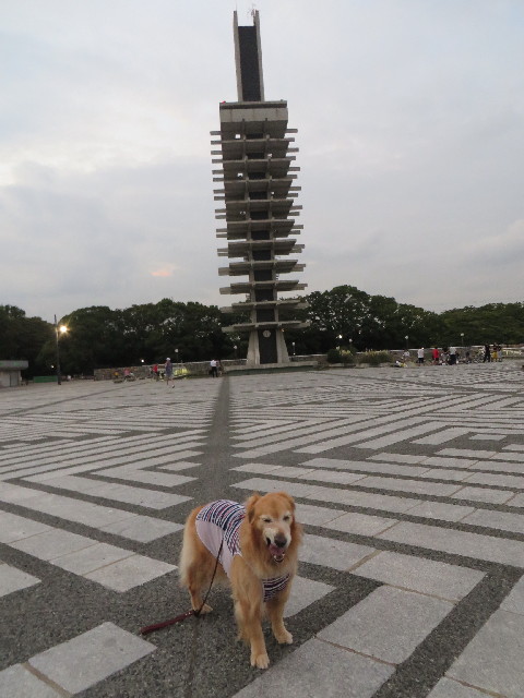 ファイル 3812-2.jpg