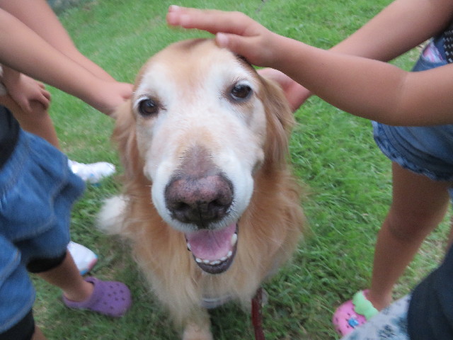 ファイル 3812-4.jpg