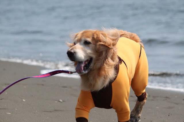 ファイル 3814-1.jpg