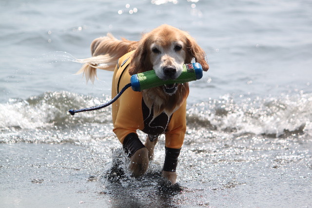 ファイル 3814-2.jpg