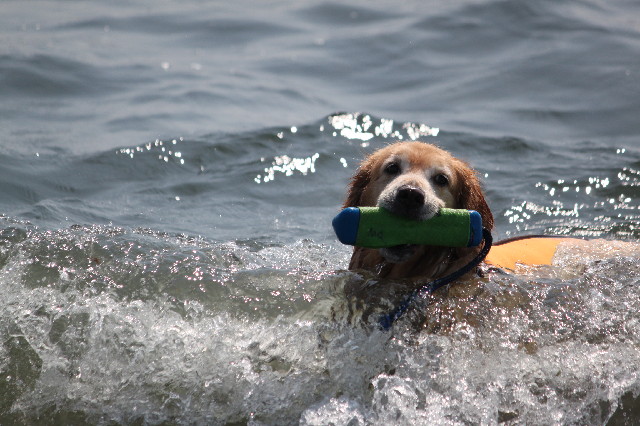 ファイル 3814-3.jpg