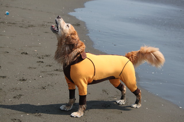 ファイル 3814-4.jpg