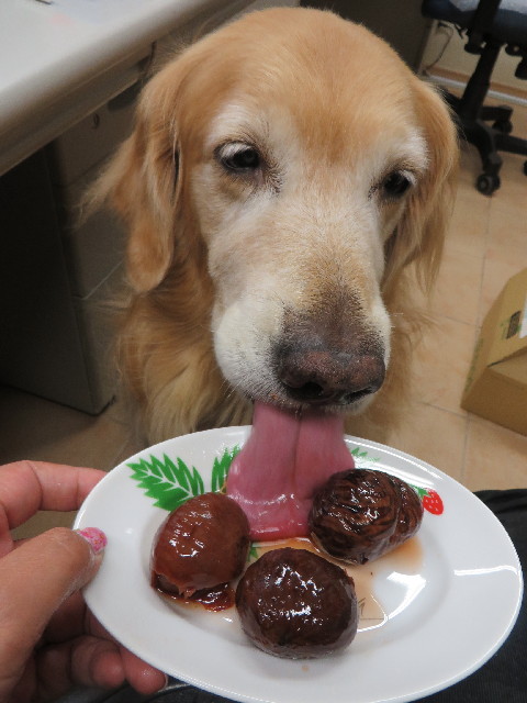 ファイル 3815-2.jpg