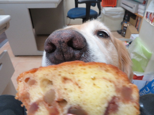 ファイル 3815-4.jpg