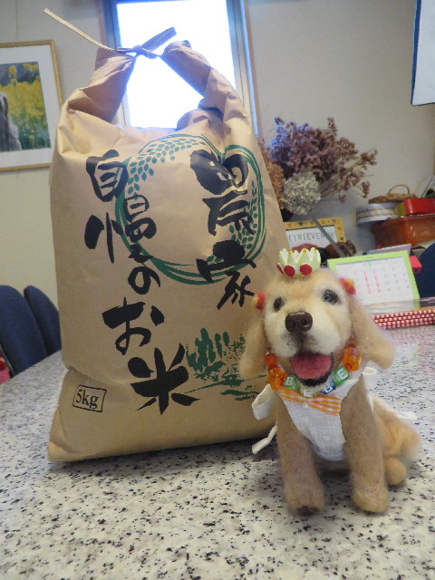 ファイル 3815-5.jpg