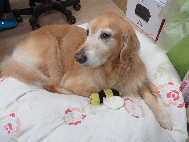 ファイル 3818-1.jpg